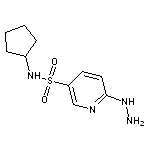 N-cyclopentyl-6-hydrazinopyridine-3-sulfonamide