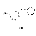 3-(cyclopentyloxy)aniline hydrochloride