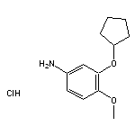 3-(cyclopentyloxy)-4-methoxyaniline hydrochloride