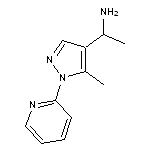 1-[5-methyl-1-(pyridin-2-yl)-1H-pyrazol-4-yl]ethan-1-amine