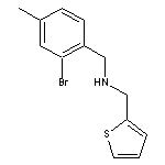 [(2-bromo-4-methylphenyl)methyl](thiophen-2-ylmethyl)amine