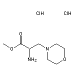 methyl 2-amino-3-(morpholin-4-yl)propanoate dihydrochloride