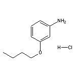 3-butoxyaniline hydrochloride