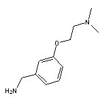 {3-[2-(dimethylamino)ethoxy]phenyl}methanamine