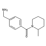 1-{4-[(2-methylpiperidin-1-yl)carbonyl]phenyl}methanamine