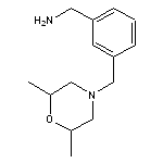 {3-[(2,6-dimethylmorpholin-4-yl)methyl]phenyl}methanamine