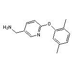 [6-(2,5-dimethylphenoxy)pyridin-3-yl]methylamine