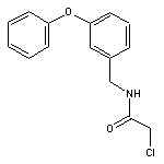 2-chloro-N-[(3-phenoxyphenyl)methyl]acetamide