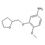 4-methoxy-3-(tetrahydrofuran-2-ylmethoxy)aniline