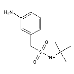 (3-aminophenyl)-N-tert-butylmethanesulfonamide