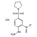 1-[(4-hydrazinyl-3-nitrobenzene)sulfonyl]pyrrolidine hydrochloride