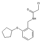 2-chloro-N-{[2-(cyclopentyloxy)phenyl]methyl}acetamide