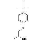 1-(2-aminopropoxy)-4-tert-butylbenzene