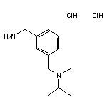 (3-{[methyl(propan-2-yl)amino]methyl}phenyl)methanamine dihydrochloride