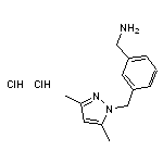 {3-[(3,5-dimethyl-1H-pyrazol-1-yl)methyl]phenyl}methanamine dihydrochloride