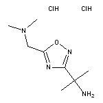 2-{5-[(dimethylamino)methyl]-1,2,4-oxadiazol-3-yl}propan-2-amine dihydrochloride