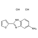 2-(furan-2-yl)-1H-1,3-benzodiazol-5-amine dihydrochloride