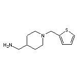 {[1-(2-Thienylmethyl)piperidin-4-yl]methyl}amine