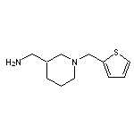 [1-(thiophen-2-ylmethyl)piperidin-3-yl]methanamine