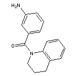 3-[(1,2,3,4-tetrahydroquinolin-1-yl)carbonyl]aniline