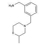 {3-[(2-methylmorpholin-4-yl)methyl]phenyl}methanamine