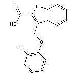 3-(2-chlorophenoxymethyl)-1-benzofuran-2-carboxylic acid