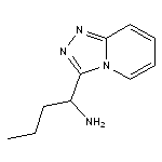 1-{[1,2,4]triazolo[4,3-a]pyridin-3-yl}butan-1-amine