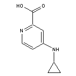 4-(cyclopropylamino)pyridine-2-carboxylic acid