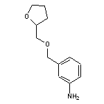 3-[(oxolan-2-ylmethoxy)methyl]aniline