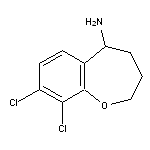 8,9-dichloro-2,3,4,5-tetrahydro-1-benzoxepin-5-amine