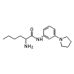 2-amino-N-[3-(pyrrolidin-1-yl)phenyl]hexanamide