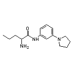 2-amino-N-[3-(pyrrolidin-1-yl)phenyl]pentanamide