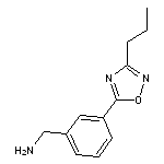 [3-(3-propyl-1,2,4-oxadiazol-5-yl)phenyl]methanamine