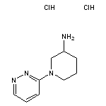 1-(pyridazin-3-yl)piperidin-3-amine dihydrochloride