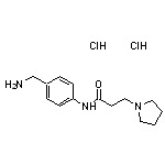 N-[4-(aminomethyl)phenyl]-3-(pyrrolidin-1-yl)propanamide dihydrochloride