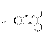 1-{2-[(2-bromophenyl)methoxy]phenyl}propan-1-amine hydrochloride