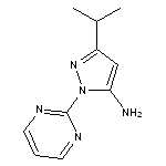 3-(propan-2-yl)-1-(pyrimidin-2-yl)-1H-pyrazol-5-amine