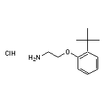 1-(2-aminoethoxy)-2-tert-butylbenzene hydrochloride