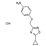 4-[(5-cyclopropyl-1,2,4-oxadiazol-3-yl)methoxy]aniline hydrochloride