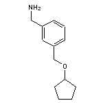 {3-[(cyclopentyloxy)methyl]phenyl}methanamine