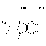 1-(1-methyl-1H-1,3-benzodiazol-2-yl)ethan-1-amine dihydrochloride