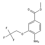 methyl 4-amino-3-(2,2,2-trifluoroethoxy)benzoate