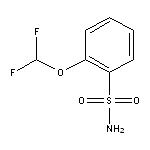 2-(difluoromethoxy)benzene-1-sulfonamide