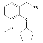 [2-(cyclopentyloxy)-3-methoxyphenyl]methanamine