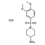 1-[(3,4-dimethoxybenzene)sulfonyl]piperidin-4-amine hydrochloride