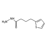 4-(thiophen-2-yl)butanehydrazide