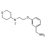 N-{2-[3-(aminomethyl)phenoxy]ethyl}-N-methyloxan-4-amine