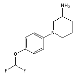 1-[4-(difluoromethoxy)phenyl]piperidin-3-amine