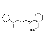 N-{3-[2-(aminomethyl)phenoxy]propyl}-N-methylcyclopentanamine