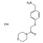 2-[4-(aminomethyl)phenoxy]-1-(morpholin-4-yl)ethan-1-one hydrochloride